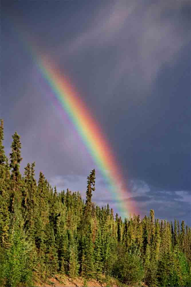 101 - Canada - Yukon, arco iris